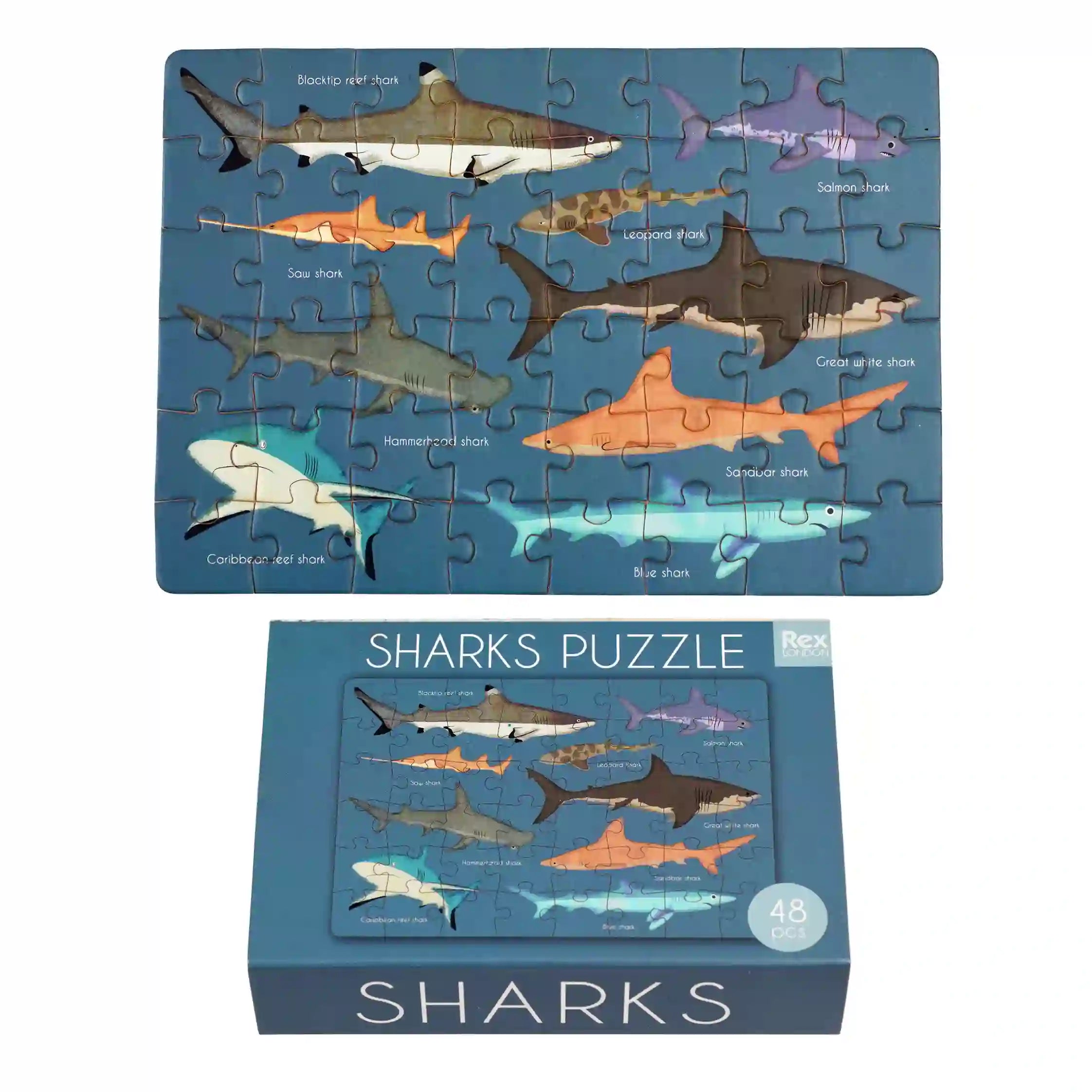 Rex london - Puzzle boîte d'allmettes requin