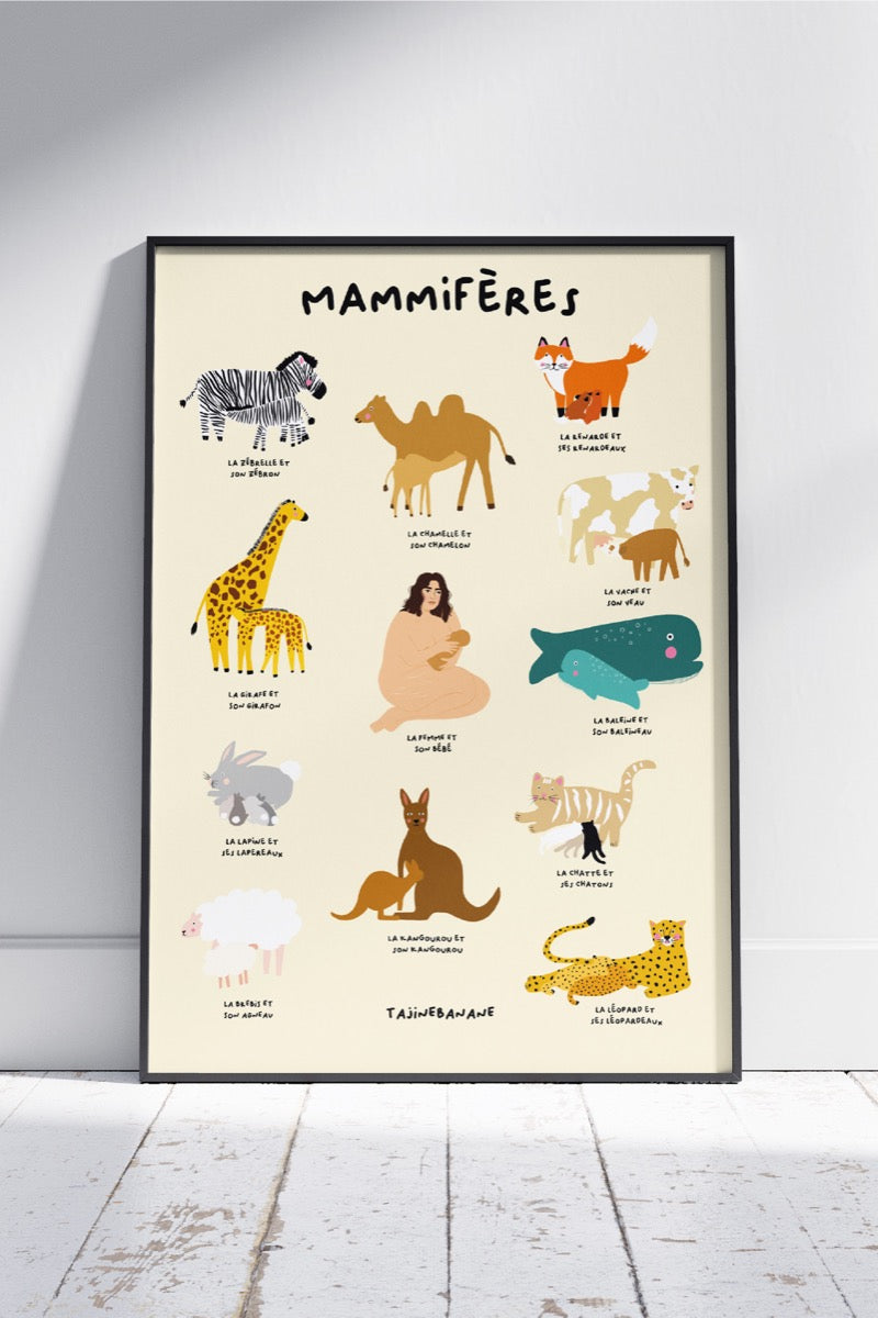 Säugetiere Poster