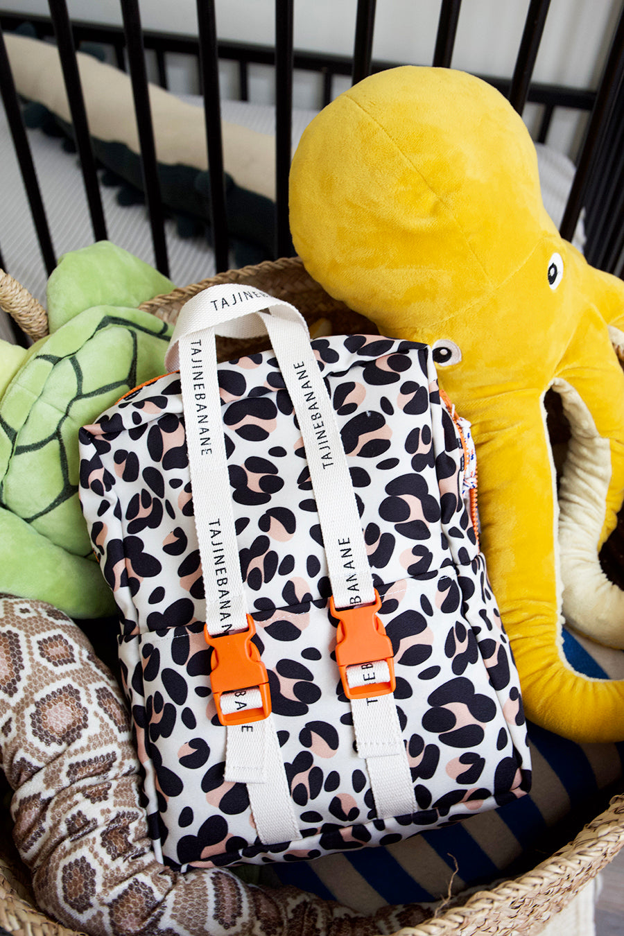 Baptiste - 1m84 - XL